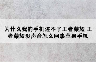 为什么我的手机进不了王者荣耀 王者荣耀没声音怎么回事苹果手机